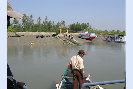 Viaggio in India 2008 - Sunderbans